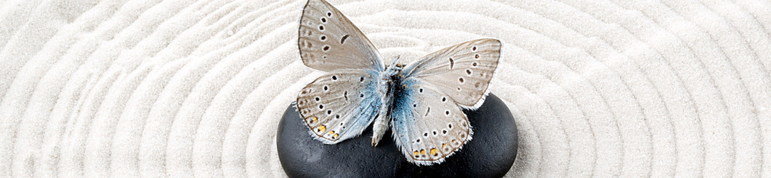 Kinesiologie-Praxis Kine Butterfly
